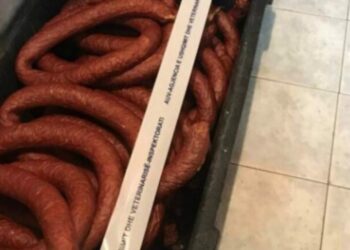 Mishin e skaduar e bënte suxhuk, e pëson keq pronari i fabrikës