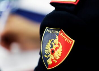 Plagosja në Malësinë e Madhe, 17-vjeçari: Na sulmoi një grup shqiptarësh