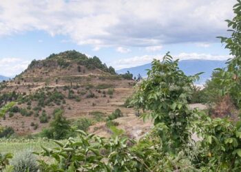 Bashkia Librazhd jep me qira kullotën, banorët e Dragostunjës në protestë