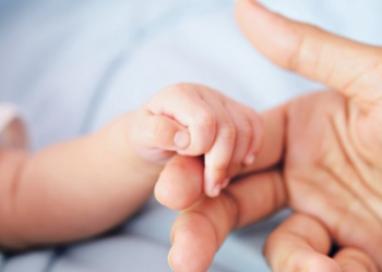 Bien lindjet dhe vdekjet në 3-mujorin e tretë, në 6 qarqe shtesa natyrore negative