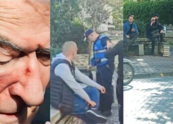 “Kam punë me doktorin”/ Policia alarmohet nga i riu para Kuvendit të Shqipërisë