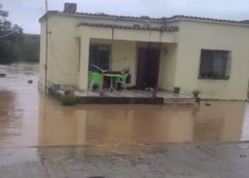 Reshjet e shiut “pushtojnë” vendin nga veriu në jug, si paraqitet situata