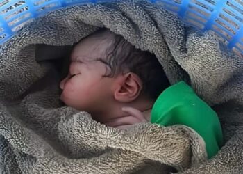 Foshnja e braktisur ndërroi jetë, materniteti zbardh shkakun e vdekjes