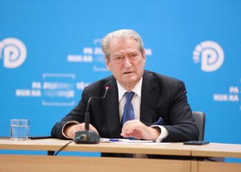 Dhuna ndaj 3-vjeçares në kopshtin privat, Berisha: Degradim arsimor