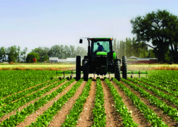 Thellohet rënia e prodhimit në bujqësi! “Trend” negativ edhe blegtoria