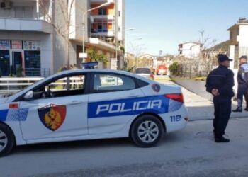 Tronditëse në Shkodër/ Gjenden mbetje kockore në një gropë djegieje qymyri