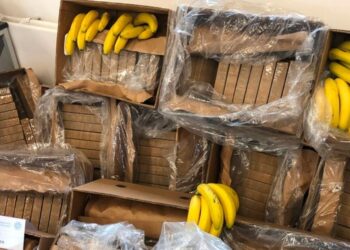 Polici shoqëroi kontinerin e ‘Bana King’, si u zhduk për dy orë ngarkesa me banane?