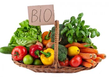 Çfarë përfshihet në ligjin e ri për prodhimin “bio” në vend?