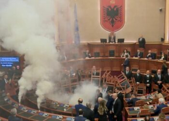 Përplasja e detutetëve të opzitës filloi pa nisur seanca, ç’ndodhi mes tyre e gardës