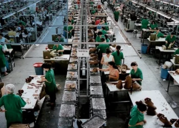 “Drama” e eksporteve, fasoni shënon rënie të thellë me 19% në nëntor