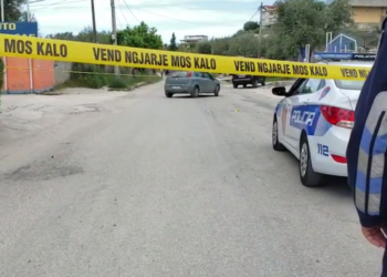 U ekzekutua sot në Fier nipi i biznesmenit të njohur, Demir Backa