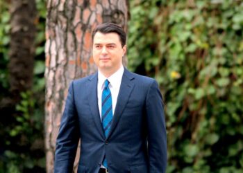 Zgjedhjet në Serbi, Basha në KiE: Hetim ndërkombëtar për parregullsitë