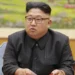 Kim Jon Un mbyll organizatat e bashkimit: Koreja e Jugut është armiku ynë më i madh