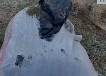 Me 26 kg kanabis gati për shitje, arrestohen babë e bir në Malësinë e Madhe