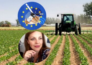 Masakra me fondet e BE në vend, drejtuesja e Agjencisë së Auditit shkel hapur ligjin