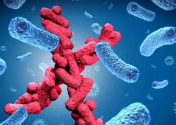 Çfarë është “Sëmundja X” dhe pse po flitet kaq shumë për të?