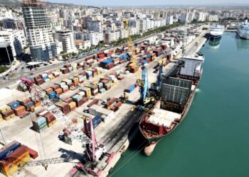 Eksportet e nisin vitin 2024 me një rënie të thellë prej 29%