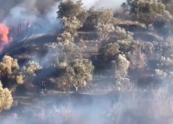 Banorët i vunë flakën disa shkurreve, del jashtë kontrollit zjarri në Kavajë