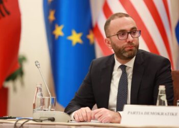 Bashkimi i opozitës, Bardhi dhe Noka takim me strukturat në Elbasan