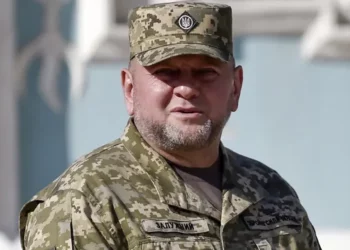 Zelenskyy shkarkon gjeneralin Valeri Zaluzhnyi, çfarë ndodhi?