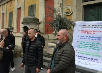 “Duam subvencionim nga qeveria”/ Fermerët protestojnë para Ministrisë së Bujqësisë