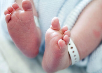 Ecuria e lindjeve në Shqipëri më keq se skenarët pesimiste të INSTAT dhe OKB-së