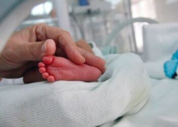 Lindjet rënie vjetore me 10% më 2023, më e forta në 30 vitet e tranzicionit