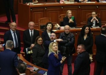 Kaos dhe forcë kartoni, mbyllet seanca plenare në më pak se 30 minuta