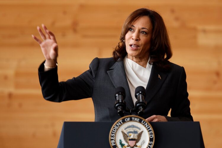 WASHINGTON, DC - AUGUST 04: U.S. Vice President Kamala Harris delivers remarks while visiting Sycamore & Oak, a minority-owned retail village that houses other local small businesses, on August 04, 2023 in Washington, DC. Harris announced that 43 non-profit, community-based organizations, private sector entities and institutions of higher education will receive $125 million American Rescue Plan-funded Capital Readiness Program (CRP) awards, aimed at helping "underserved entrepreneurs launch and scale their small businesses—a key pillar of Bidenomics," according to the White House. (Photo by Chip Somodevilla/Getty Images)