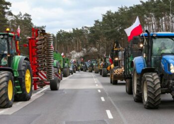 Kundër rregulloreve mjedisore të BE-së/ Fermerët polakë bllokojnë rrugët