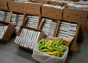 Raporti i Europol: Kompanitë e transportit të bananeve përdoren për trafik kokaine