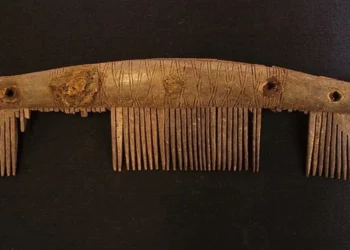 Krehëra vikingësh të bërë me bri dhe kocka zbulohen në Angli