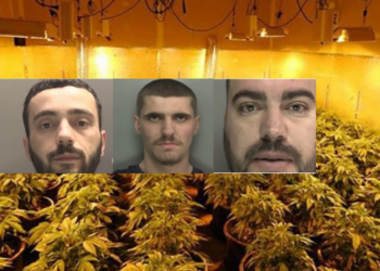 U kapën në shtëpi bari, arrestohen 3 shqiptarët në Britani