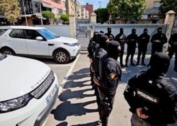 Në kërkim të serave me kanabis/ Operacion blic në Malësinë e Madhe