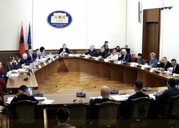 “TIMS”/ Salianji: SHISH, përdoret dhe sjell përgjigje për t’u tallur me publikun