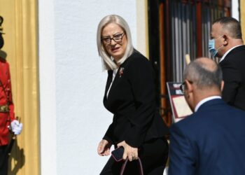 Komisioni për Dezinformimin, Nikolla letër ndihme Departamentit amerikan të Shtetit