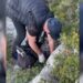 Qëlloi me armë në ajër në Karaburun, pranga 42-vjeçarit në Vlorë