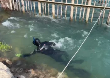 Tragjedia në Shkodër, flet vëllai i Ergys Arrazit: Kemi bërë gati 4 arkivolë