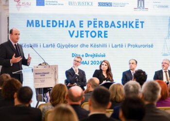 David Wisner: Më shumë bashkëpunim midis grupeve politike për integrimin