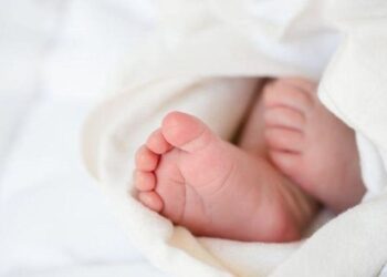 Lindjet në nivelin më të ulët, popullsia e Shqipërisë po tkurret me shpejtësi