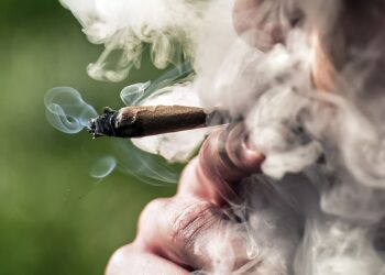 Përdorimi ditor i marijuanës tejkalon konsumimin ditor të pijeve alkoolike në SHBA