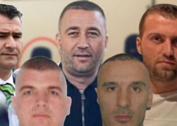 Porosia e Ndokës, Martinaj financues, roli i anëtarëve të bandës për vrasjen e Bamit