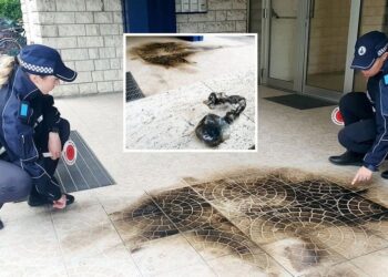 E rëndë në Itali/ Shqiptari i vë flakën vetes në sy të gruas