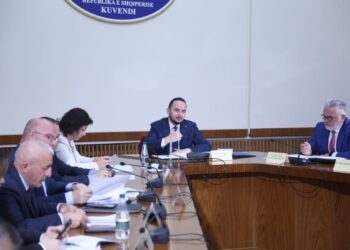 TIMS/ Zbardhen dëshmitë, drejtoresha e Krimit Kibernetik: U punësova me ‘mik’