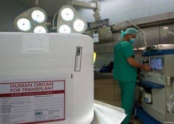 Dhurimi i organeve, DW: Kush hesht pranon dhurimin?
