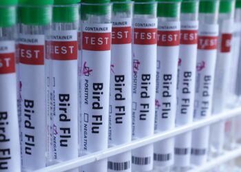 Finlanda, shteti i parë që do të vaksinojë njerëzit kundër gripit të shpezëve