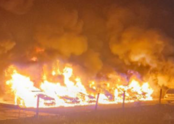 Video/ I vihet flaka biznesit të makinave me qera në Kamëz, digjen 6 mjete luksoze