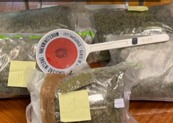 Itali/ Kontrollet rutinë “fundosin” shqiptarin, kapet në makinë me 1 mln euro drogë