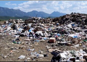 Mori 200 tendera për trajtimin e mbetjeve, Prokuroria kërkon burg për Ervis Mirin