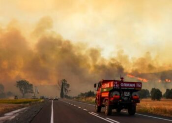 Zjarre masive në Turqi/ Humbin jetën 5 persona, dhjetëra të plagosur
